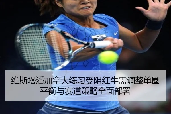 wei-si-ta-pan-jia-na-da-lian-xi-shou-zu-hong-niu-xu-tiao-zheng-dan-quan-ping-heng-yu-sai-dao-ce-lve-quan-mian-bu-shu-2-957.jpg